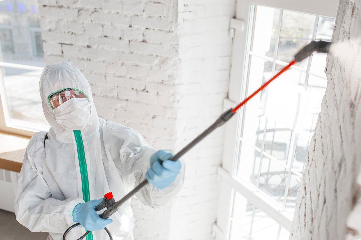 Mold remediation work